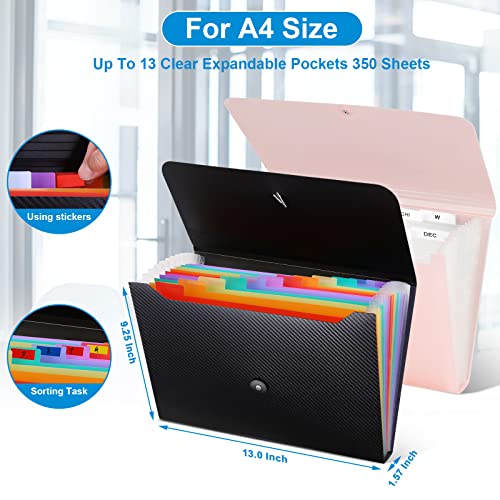 Expanding-File-Folder-2Pack-13-Pocket-Accordion-File-Holder-Organizer-Letter-Size-Document-Receipt-Organizer-Accordian-Filing-Folder-for-Classroom-Home-Office-and-Travel-Black-and-Pink Expanding-File-Folder-2Pack-13-Pocket-Accordion-File-Holder-Organizer-Letter-Size-Document-Receipt-Organizer-Accordian-Filing-Folder-for-Classroom-Home-Office-and-Travel-Black-and-Pink