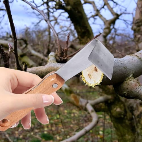 Herramientas para raspar corteza de árboles 2 piezas miniatura 6