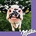 Milka Choco Pause - 0.57 lbs