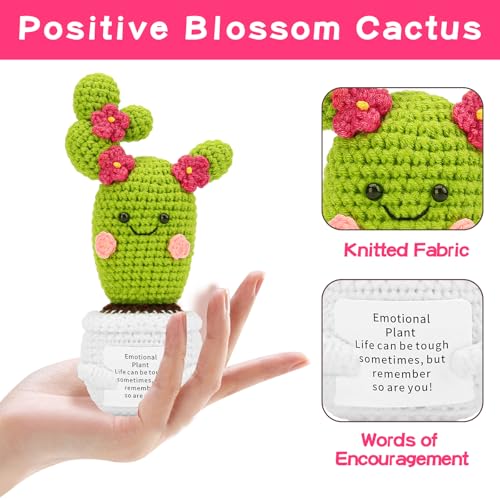 Image of Hoedia Handmade Emotional Pickle Gift, Emotional Cucumber Crochet Doll Inspirational Gifts with Cards, Cute Knitted Funny Support Pickle Potato Friend Birthday (Blossom Cactus)