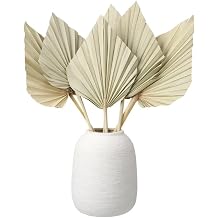 6 Pcs Small Boho Dried Palm Fans,Natural Dried Palm Spears Leaves with Stem Bohemian Dried Flower Bouquet Tropical Palm for Boho Wedding Vase Table Decor
