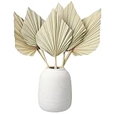 ZhouBoat 6 Pcs Small Boho Dried Palm Fans,Natural Dried Palm Spears Leaves with Stem Bohemian Dried Flower Bouquet Tropical Palm for Boho Wedding Vase Table Decor