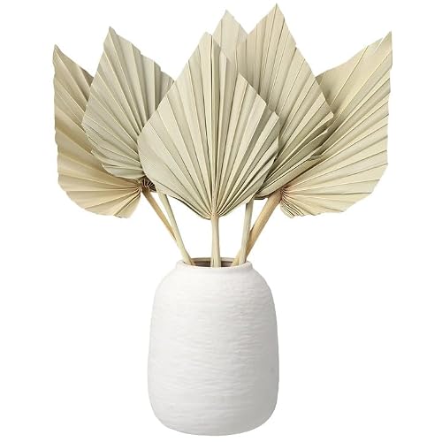 ZhouBoat Dried Palm Fans