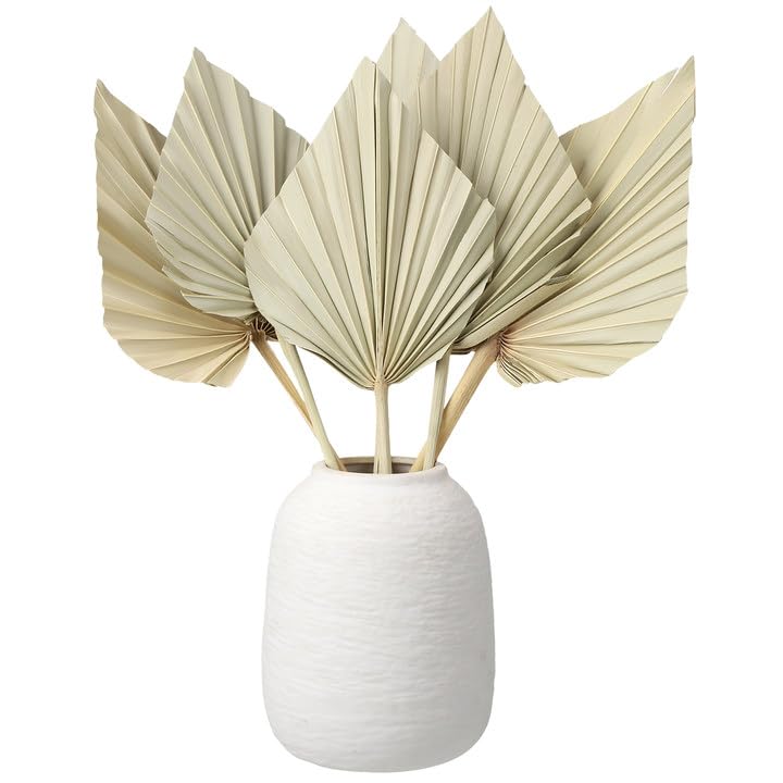 ZhouBoat 6 Pcs Small Boho Dried Palm Fans Natural Dried Palm Spears Leaves with Stem Bohemian Dried Flower Bouquet Tropical Palm for Boho Wedding Vase Table Decor