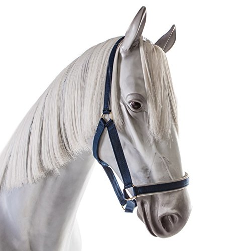 Cabezada BUCAS Dublin navy ajustable para caballo talla Cob 2