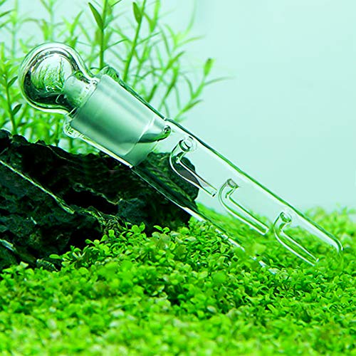 SENZEAL Trappola Planaria in Vetro Trasparente e Trappola per Lumaca Trappola per Vermi Acquario per Acquario Gamberetti Acquario (3 Fori Planarie Trap) - Image 7