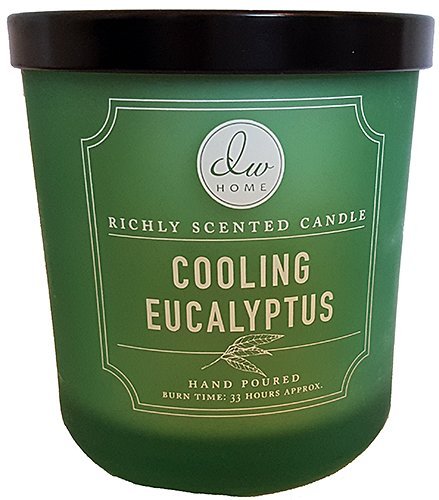 DW Home Decoware Richly Scented Candle - Cooling Eucalyptus Medium Single wick 9.69 oz