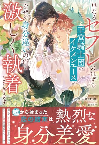 単なるセフレのはずの王宮騎士団のイケメンエースがなぜか身分違いの俺に激しく執着してきます (アンダルシュノベルズ)