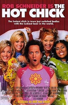 The Hot Chick Movie Poster 11 X 17 inch