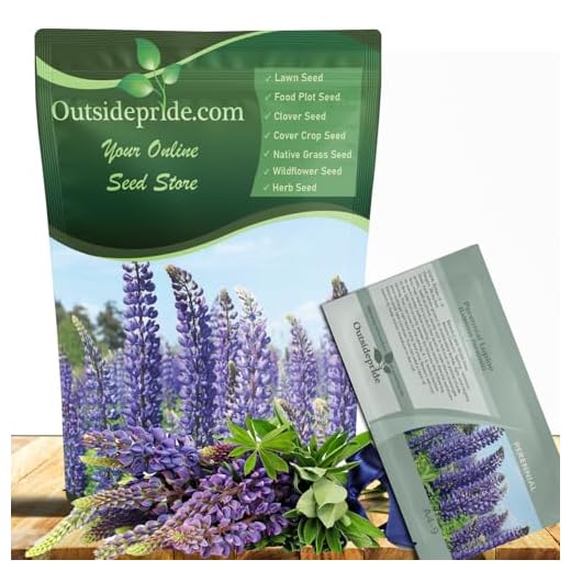 Best garden plants for hummingbirds Wild Blue Russell Lupine Seeds