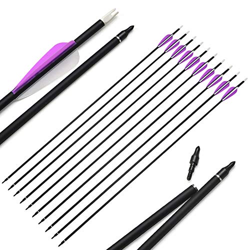 SHARROW 12x Carbonpfeile 30 Zoll Bogenpfeile Jagd Pfeile für Bogen Spine 500 mit Pfeilköcher für Recurvebogen Compound Bogen (12 stück)