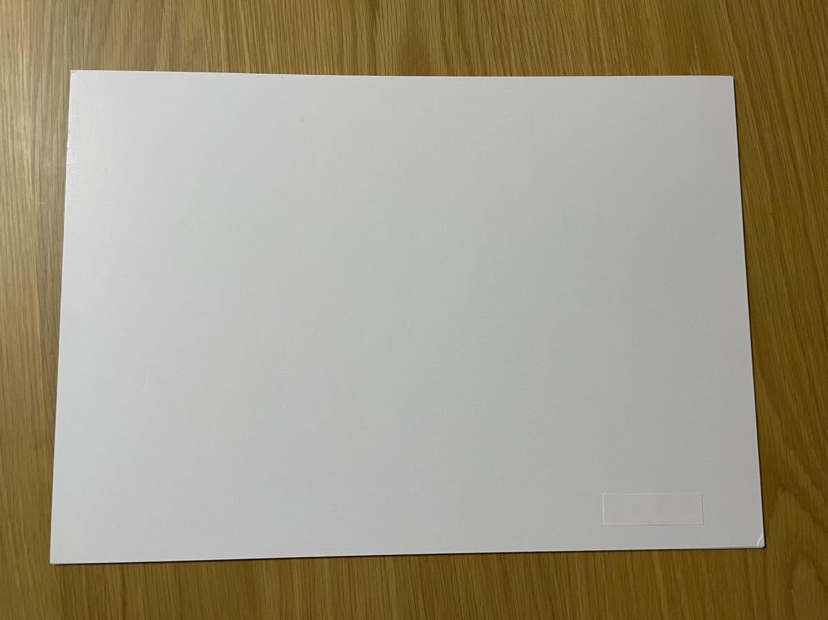 ダーウィンズゲーム 当選 複製原画 FG-2257] アクリル額装入り複製原画B ダーウィンズゲーム