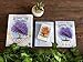 Renegade Game Studios Arboretum Strategy Card Game that Challenges 2-4 Players Aged 8 & Up to Create the Most Beautiful Garden (packaging may vary)