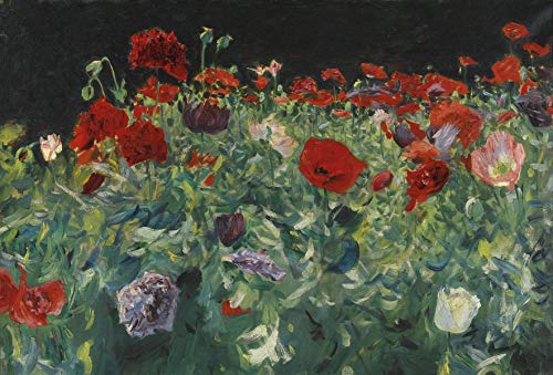 Get Custom Art John Singer Sargent Poppies Poster