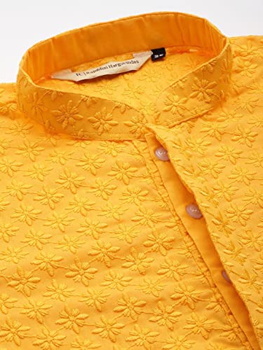 Image of Rajubhai Hargovindas Men Pure Cotton Chikankari Embroidered Straight Kurta