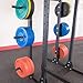 Body Solid (SPRWPH) Pro ClubLine SPRWPH Weight Plate Horn Attachment, Only Compatible with Pro Clubline SPR500 Half Rack & SPR1000 Power Racks