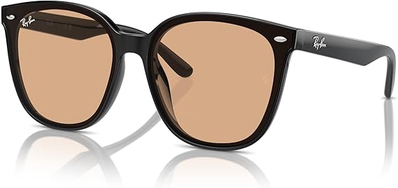 Ray-Ban レイバン サングラス 楽天市場】【正規品販売店】レイバン サングラス RB4423D 601/87