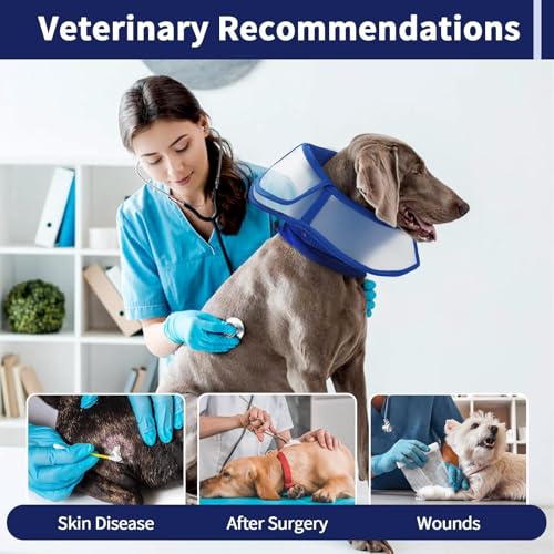 Image of Allroaring Dog Cone Collar After Surgery, Soft Dog Cones for Large Dogs, Breathable Pet Elizabethan Collar Dogs Recovery Cone to Stop Licking Protective Wound Lightweight E-Collar, Blue L