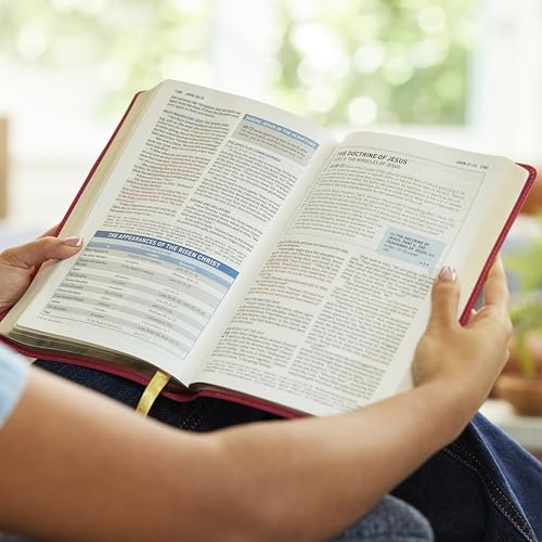 Image of Student Study Bible: A Guide to Knowing and Living God's Word (NKJV, Brown Leathersoft, Red Letter, Comfort Print)