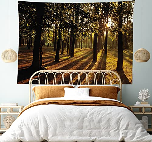 Lunarable Forest Tapestry King Size, Sunbeams Rays Through The Trees