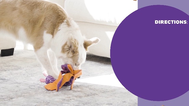 Outward Hound by Nina Ottosson Silly Legz Interactive Plush Dog Puzzle, Dog Enrichment Toys, Plush, Floppy, Long, Octopus, Blue - image 8