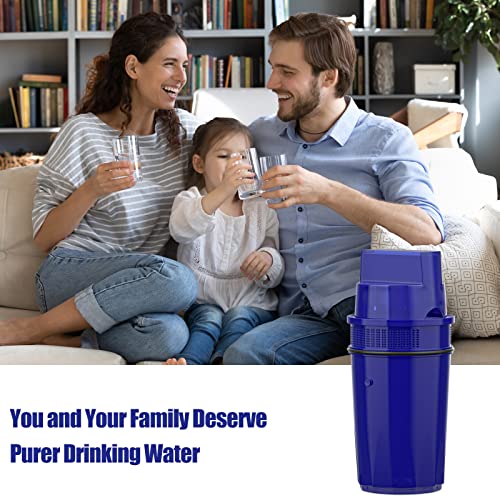 4-Pack Ppf900Z Water Filter Replacement For All Pur®, Pur® Plus Pitchers & Dispensers Filtration Systems, Nsf Certified, Blue #TOP6