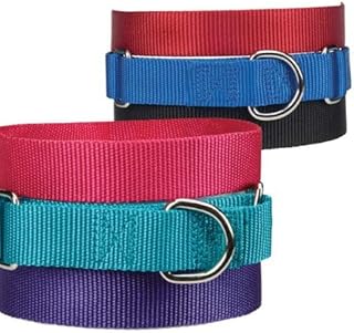 Pampered Pets Nylon Martingale Collar 10-16 in Black