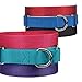 Pampered Pets Nylon Martingale Collar 10-16 in Black