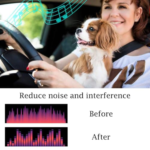 Samochodowy filtr sieciowy EMI Noise Ground Loop izolator suppressor do radia samochodowego audio radio wzmacniacz wzmacniacz głośnik equalizer subwoofer 12 V