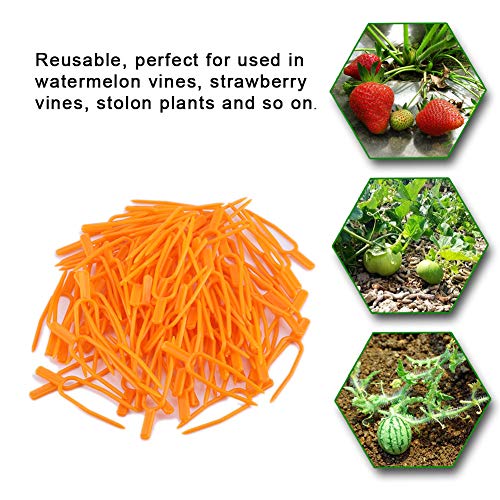 Gardening Plant Clips, 100 Reusable Plastic Fasteners for Tomatoes Vegetables, Cucumbers, 6.6cm Stem Support - Image 2