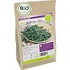 Bio Sencha Tee 250g – Glutenfrei – Grüner Tee – Vegan und ökologisch – Lose Blätter – Premium Qualität