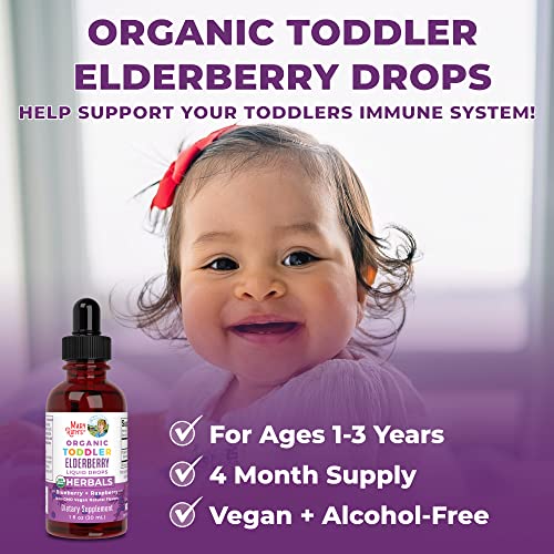 Toddler Multivitamin Gummies & Usda Organic Elderberry Liquid Drops For Toddlers Bundle By Maryruth's | Vitamin C, D3, Zinc | Overall Health | Vegan | Non-Gmo | Gluten Free #TOP6