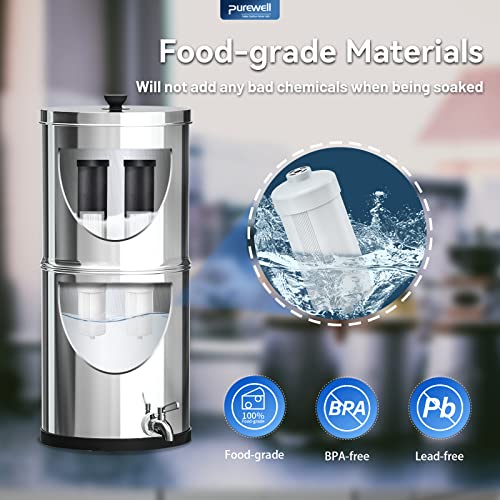 Image of Purewell FL-2 White 5-Stage Fluoride Purification Elements, Replacement for Berlkey PF-2 Fluoride Filters, Berlkey Gravity Filtration System and Purewell System (2 Pack, K Series)
