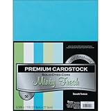 Darice GX220010 Coordination Value Cardstock, 8.5 by 11-Inch, Minty Fresh, 50-Pack
