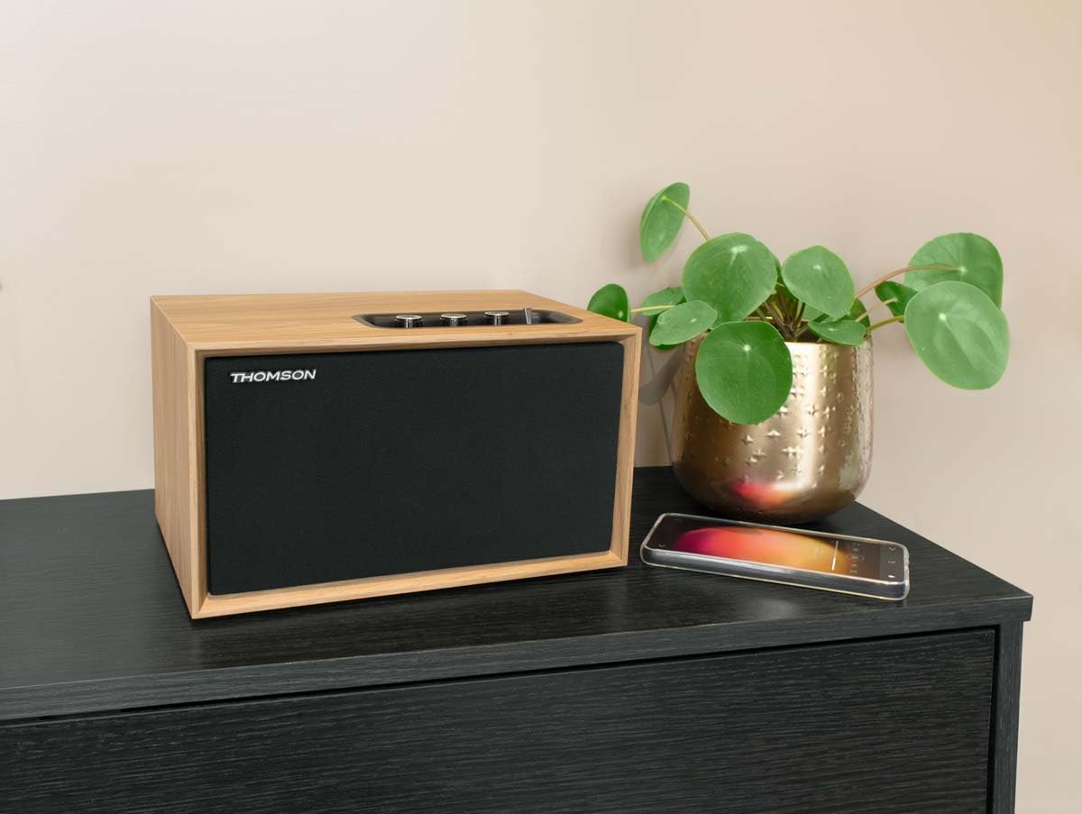 THOMSON Enceinte résidentielle en Bois Cosy, BT 5.3, 50 Watts, entrée 3.5mm