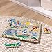 Melissa & Doug Zoo Animals Sound Puzzle – 8-Piece Wooden Peg Puzzle with Light-Activated Sounds, Music Learning Toy for Toddlers and Preschoolers Ages 2+