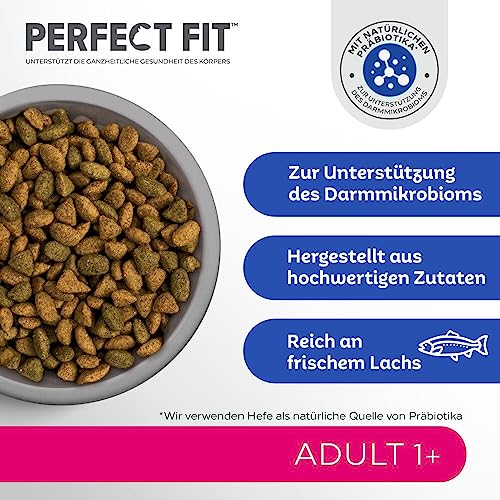 PERFECT FIT Adult Trockenfutter für erwachsene Katzen ab 1 Jahr - Lachs, 7 kg (1 Beutel)