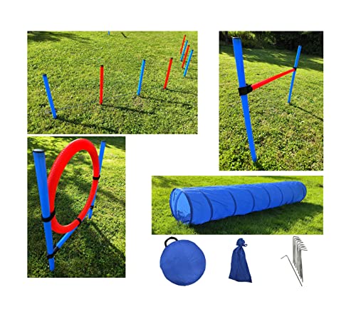 Agility Reifen-Set (4 Stück) In Rot, Blau, Grün, Gelb – Mit Standfüßen, Durchmesser Ca. 60 Cm