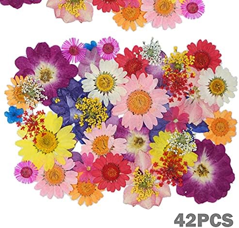 NA Cayway 160PCS Real Pressed Flowers Dry with Tweezers and Scissors Set, Dried Pressed Flowers Colorful Real Pressed Flowers for Resin Scrapbooking DIY Art Crafts, Epoxy Resin Jewelry, Soap Making