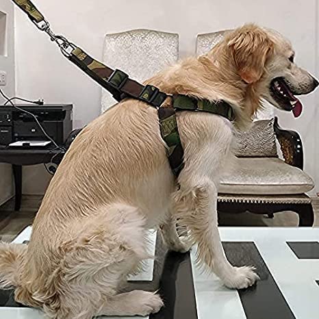 See full amazon price history chart for Woofy Dog Army Print Adjustable Harness and Leash for Maxi and Large Breed Dog Body Harness Military Design Heavy Hook Maxi Large Breed - Size XXL 1.5 Inch Woofy Dog Army Print Adjustable Harness and Leash for Maxi and Large Breed Dog Body Harness Military Design Heavy Hook Maxi Large Breed - Size XXL 1.5 Inch (B0B1VFZ5GD) Amazon Price History, Amazon Price Tracker