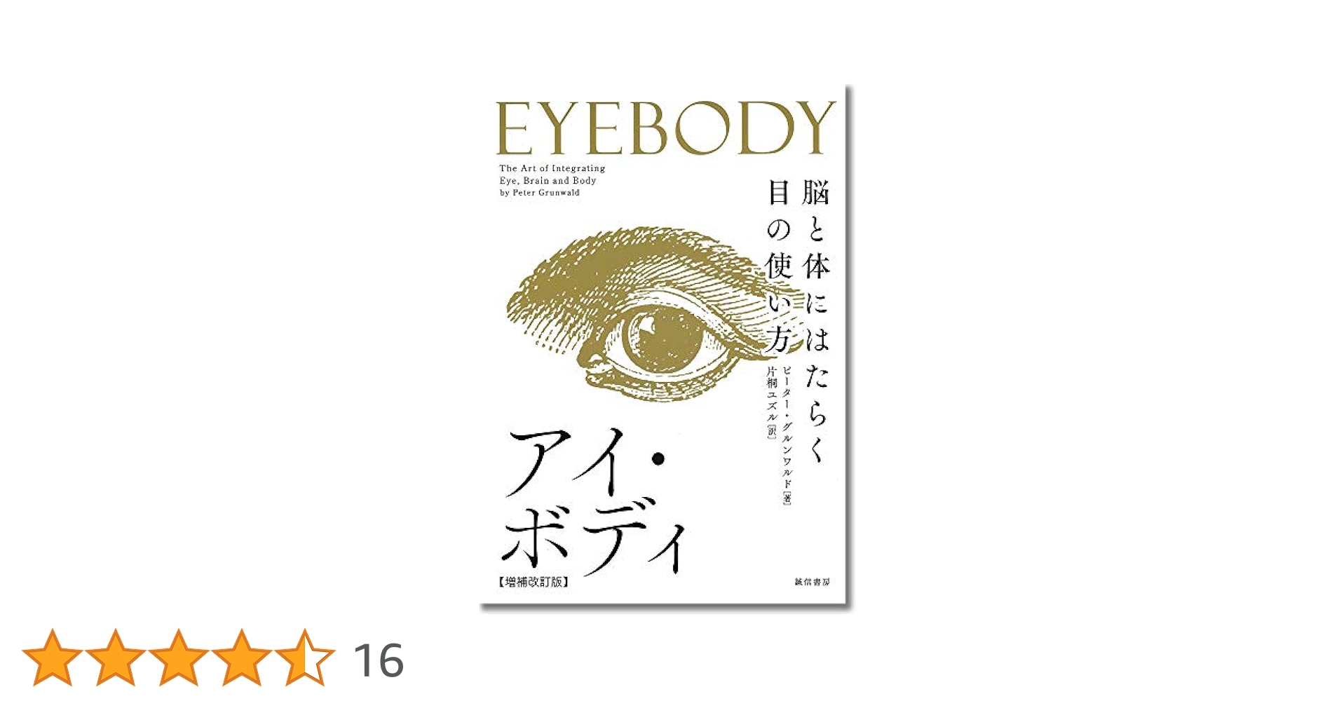 洋書　貴重　視覚障害のある学生を支援するための教師向けガイド　アイリーンスコット 洋書 貴重 視覚障害のある学生を支援するための教師向けガイド