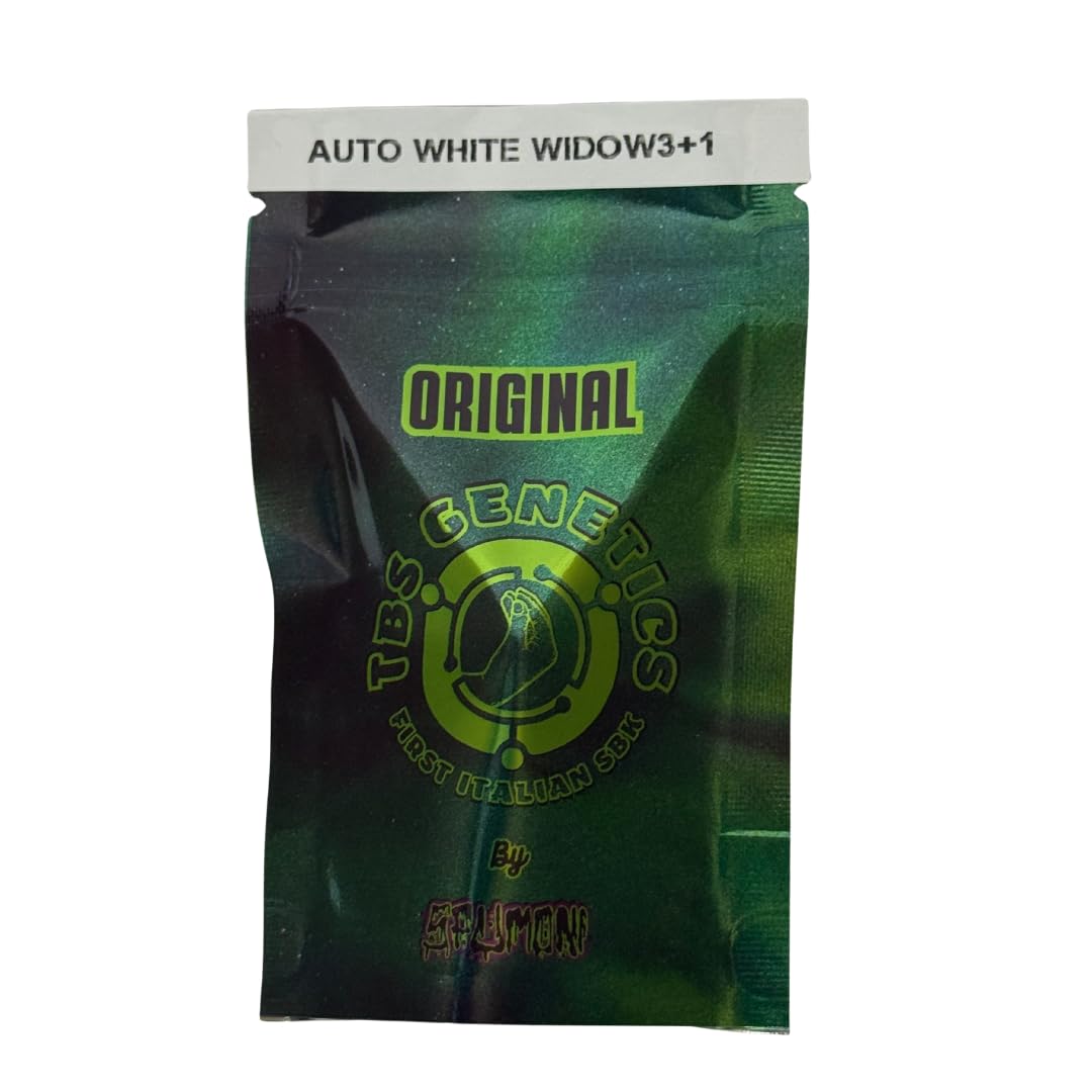 |PlantX Genetics | Auto white widow | Graines à collectionner autoflorissantes | 3 graines |