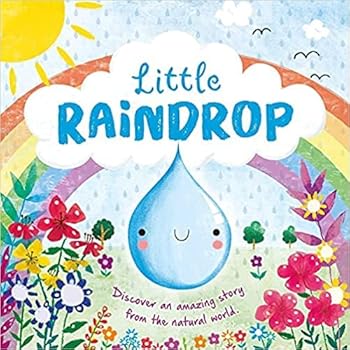 Paperback Little Raindrop Book