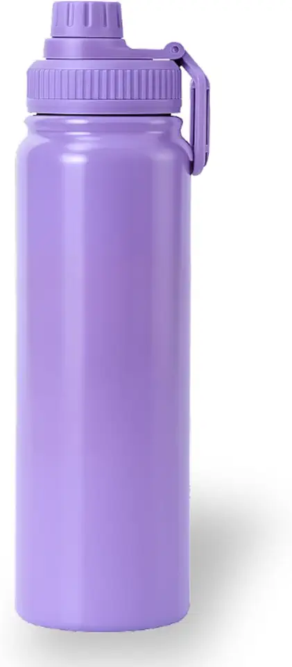 Garrafa Térmica 800ml de Inox, Parede Dupla, Isolamento a Vácuo, Bico Antivazamento, Com Alça, Mantém Quente e Gelado (Lilás)