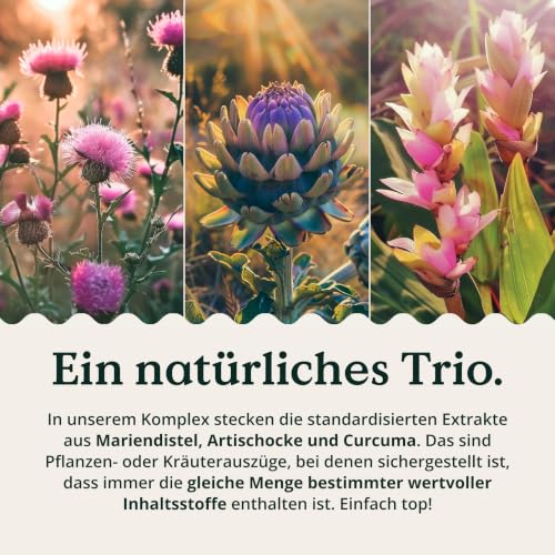 NATURE LOVE Leber Komplex - 120 Kapseln - 80% Silymarin, Cholin & Zink