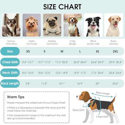 Image of Queenmore Winter Coat, Fleece Puffer Down Vest, Cold Weather Pet Jacket, Waterproof Reflective Reversible Sweater Clothes for Small, Medium and Large Dogs (Light Blue, S)
