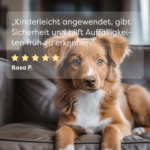 Dr. SAM UrinCheck-Schnelltest für Hunde & Katzen 5er Set - Früherkennung von Diabetes, Nieren- & Harnwegserkrankungen, 99% Genauigkeit, einfache Anwendung zu Hause und schnelle Diagnostik