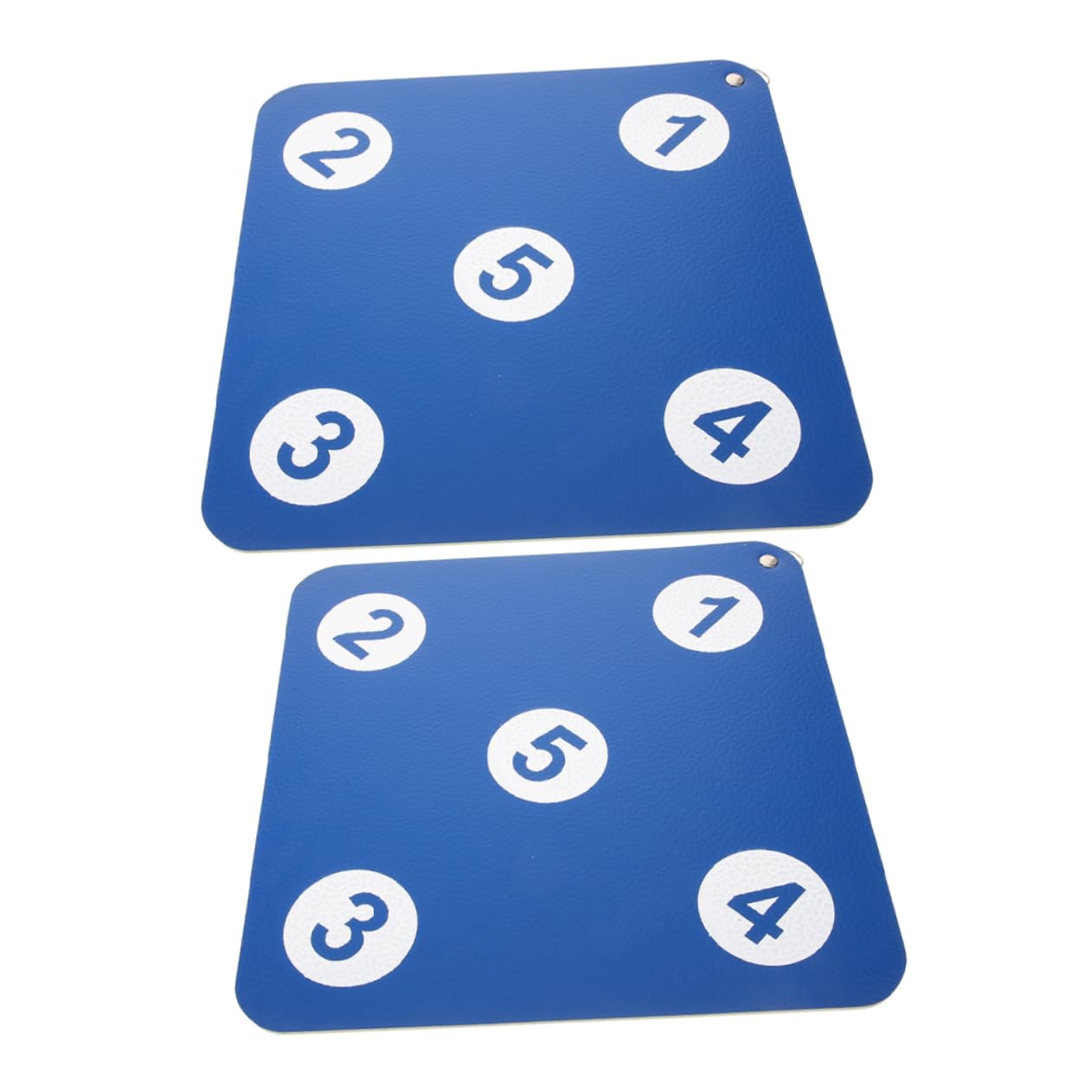 OHPHCALL 2Pcs Wall Mounted Fencing Target Dual Sided Lightweight Training Tool for Indoor Fencing and Archery Practice Easy to Install Space Saving Design