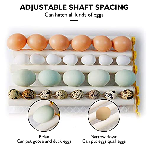 Egg Incubator,Egg Incubator with Automatic Egg Turning and Humidity Control,Poultry Hatcher for Chickens Ducks Birds (128 Eggs)