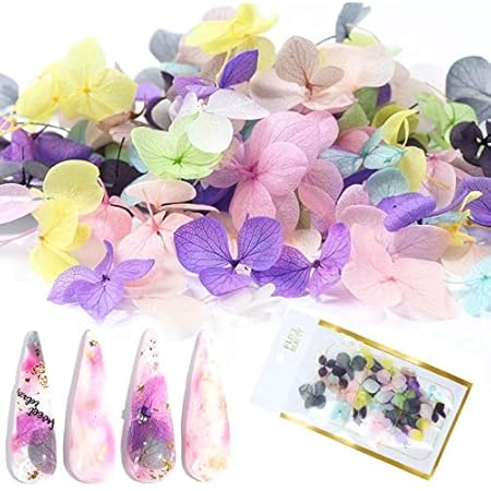 Amazon ミニ あじさい ドライフラワー ネイル 押し花 3d レジンアート ブリザードフラワー ミックス S ドライフラワー オンライン通販